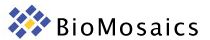 BioMosaics