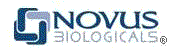 Novus