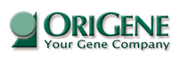 OriGene