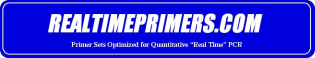 Real Time Primers