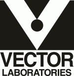 Vector