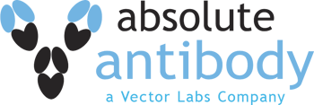 Absolute Antibody