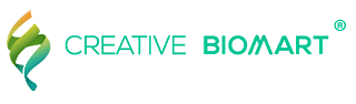 Creative Biomart