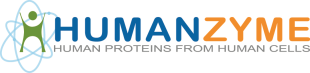HUMANZYME