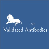 MS Validated Antibodies