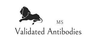 MS Validated Antibodies