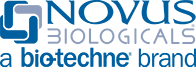 Novus