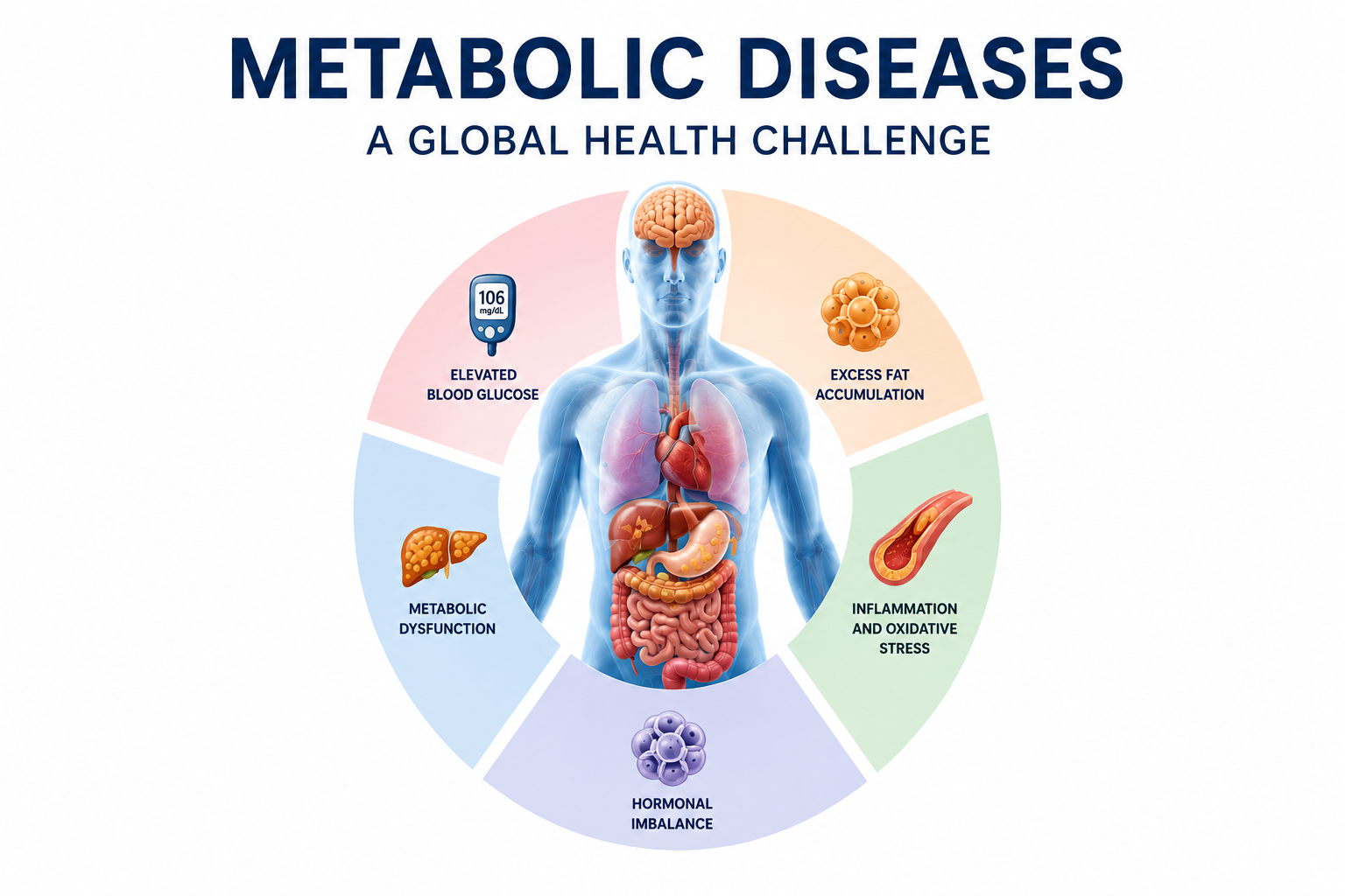 BD P800 and Mercodia &ndash; Metabolic Biomarker Analysis