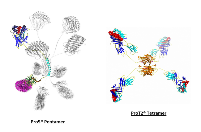 ProImmune