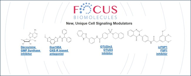 Focus Biomolecules