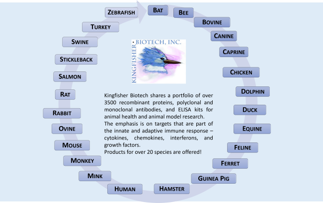 Kingfisher Biotech