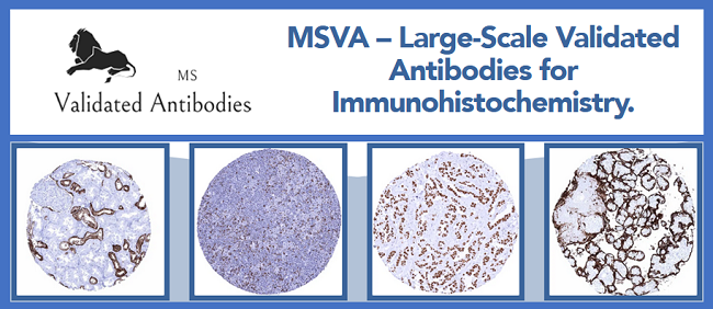 MS Validated Antibodies