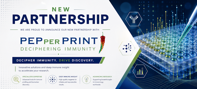 New Partnership and Collaboration