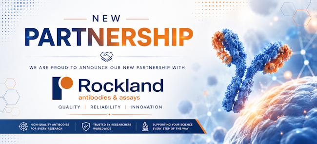 New Partnership and Collaboration